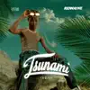 Ridwayne - Tsunami - EP
